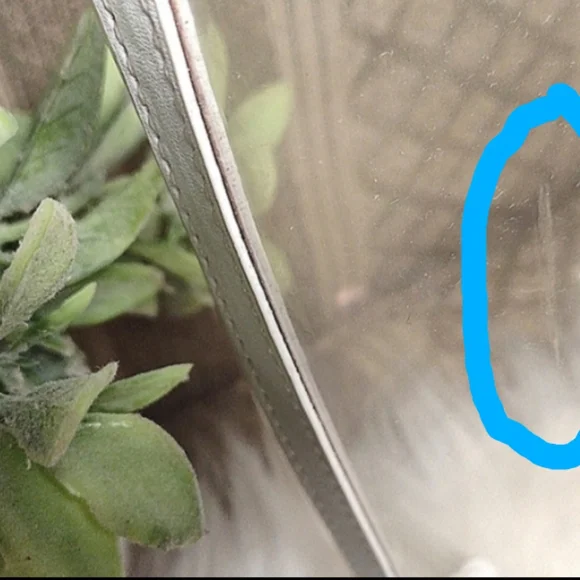 Jeff Wan 🍍Clear Pineapple Bazar Tote - Picture 13 of 16